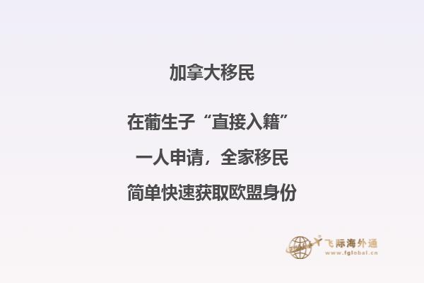 加拿大聯(lián)邦技術(shù)移民費(fèi)用！與投資移民相比，竟然這要這么點(diǎn)！
