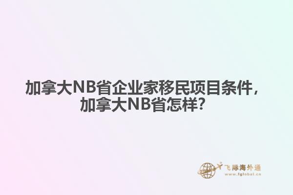 加拿大NB省企業(yè)家移民項目條件，加拿大NB省怎樣？