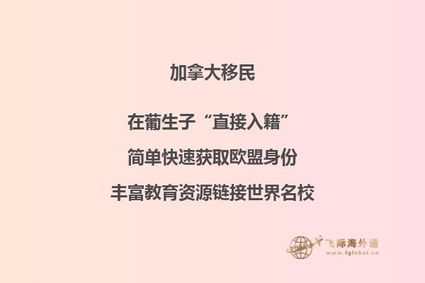 加拿大移民政策再傳利好，或新增“市提名”計劃！