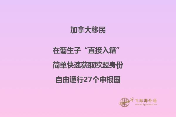 加拿大安省技術(shù)移民項(xiàng)目，哪種方式更適合你？