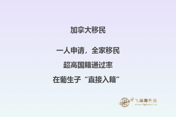 加拿大留學(xué)移民好還是新西蘭移民，本文告訴你答案！