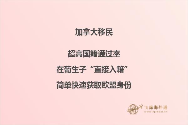 加拿大投資移民大盤點，你最中意哪個？