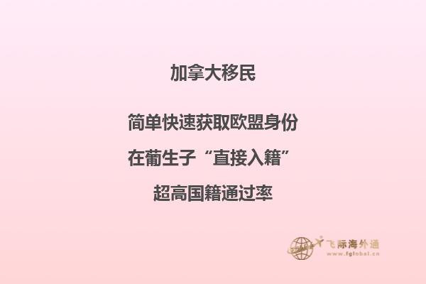 加拿大安省留學(xué)移民條件，流程怎么樣？