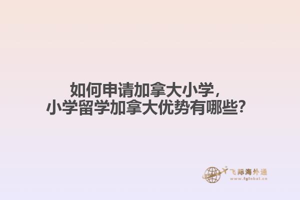 如何申請(qǐng)加拿大小學(xué)，小學(xué)留學(xué)加拿大優(yōu)勢(shì)有哪些？