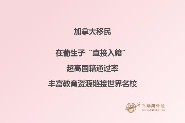 加拿大護(hù)照回中國要簽證嗎，為什么需要擔(dān)保人？