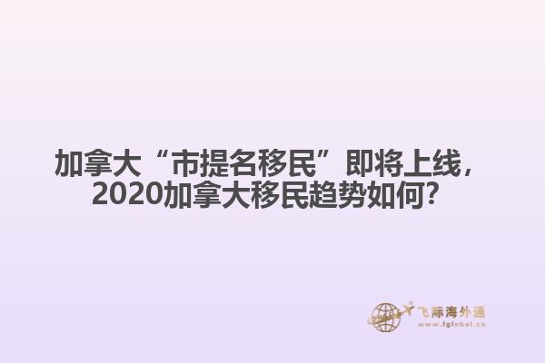 加拿大“市提名移民”即將上線，2020加拿大移民趨勢如何？
