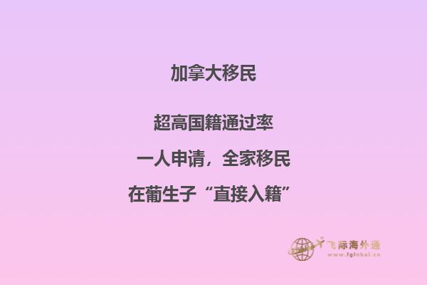 加拿大“市提名移民”即將上線，2020加拿大移民趨勢如何？
