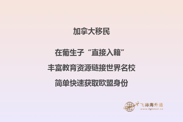 加拿大投資移民風(fēng)險(xiǎn)匯總，要避開(kāi)哪些陷阱？ 