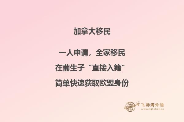 選擇溫哥華還是多倫多，移民加拿大華人更愛哪個？