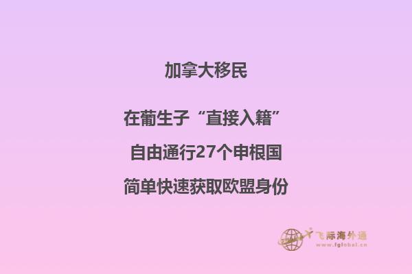 土石堆砌的城堡和天空中的飛鳥(niǎo)