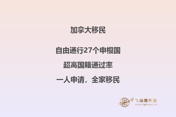 湖面和樹(shù)林
