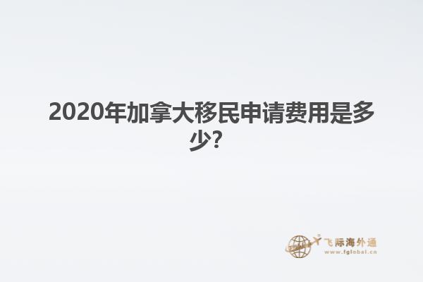 身披國(guó)旗的人