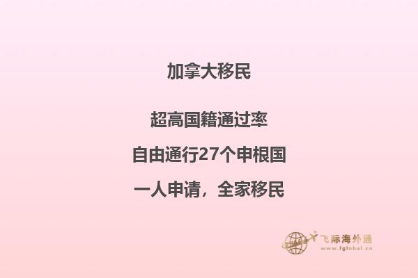 接到移民局背調(diào)電話怎么辦，如何輕松應(yīng)對(duì)移民局電話調(diào)查
