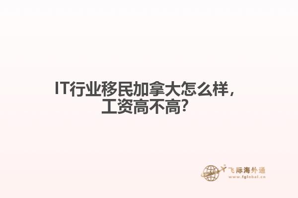 IT行業(yè)移民加拿大怎么樣，工資高不高？