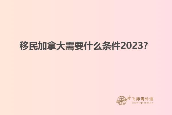 移民加拿大需要什么條件2023？