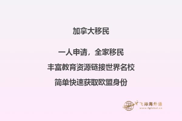 加拿大個(gè)人旅游簽證中英文申請表
