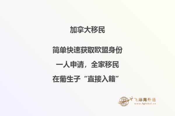 加拿大SUV移民條件，暢享加國自由與豪華！