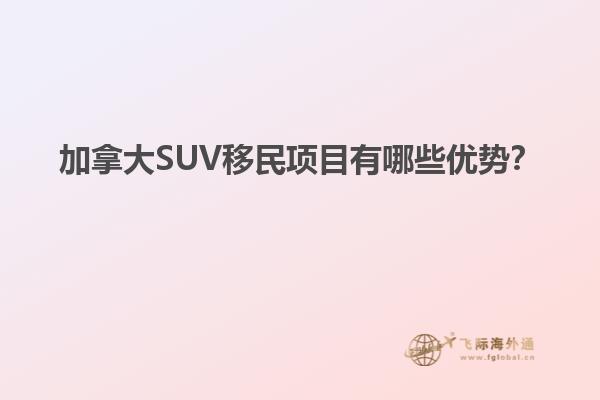 加拿大SUV移民項目有哪些優(yōu)勢？