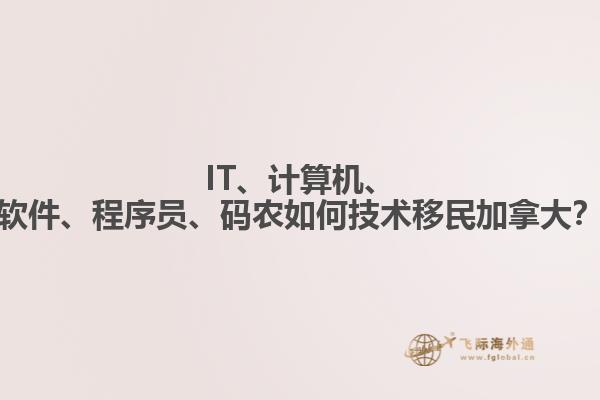 IT、計(jì)算機(jī)、軟件、程序員、碼農(nóng)如何技術(shù)移民加拿大？