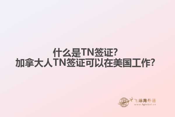 什么是TN簽證？加拿大人TN簽證可以在美國工作？
