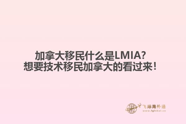 加拿大移民什么是LMIA？想要技術(shù)移民加拿大的看過來！