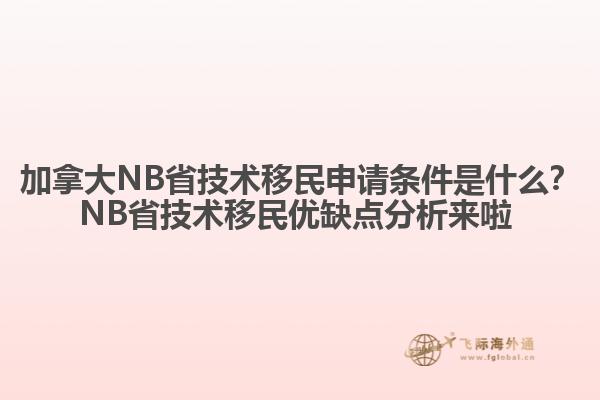 加拿大NB省技術(shù)移民申請(qǐng)條件是什么？NB省技術(shù)移民優(yōu)缺點(diǎn)分析來啦 