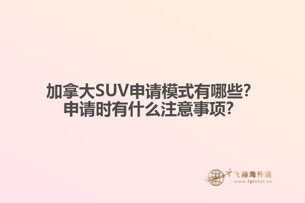 加拿大SUV申請模式有哪些？申請時有什么注意事項？