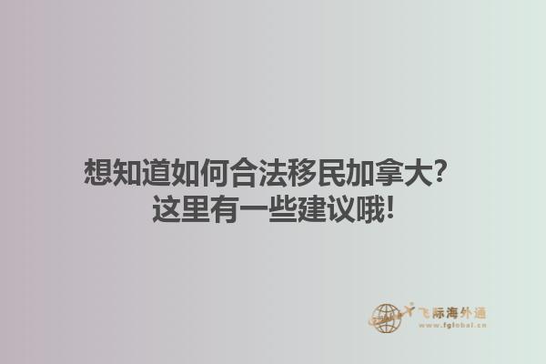 想知道如何合法移民加拿大？這里有一些建議哦!