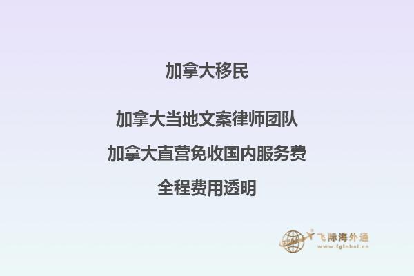 疫情對加拿大移民有何影響？如何應(yīng)對？