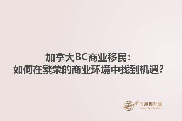 加拿大BC商業(yè)移民：如何在繁榮的商業(yè)環(huán)境中找到機(jī)遇？