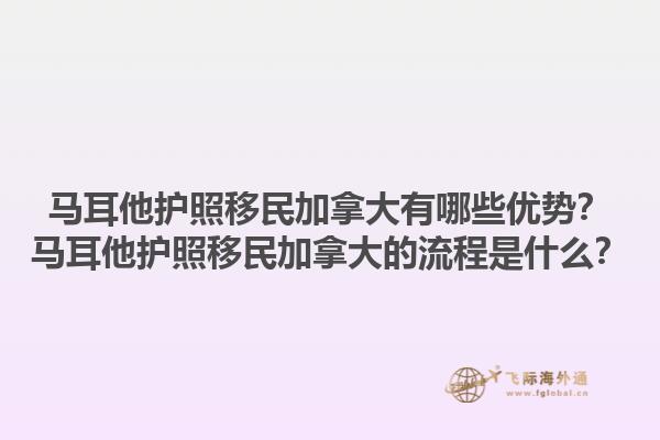 馬耳他護照移民加拿大有哪些優(yōu)勢？馬耳他護照移民加拿大的流程是什么？