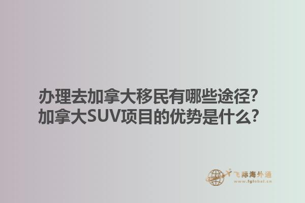 辦理去加拿大移民有哪些途徑？加拿大SUV項(xiàng)目的優(yōu)勢(shì)是什么？1.jpg